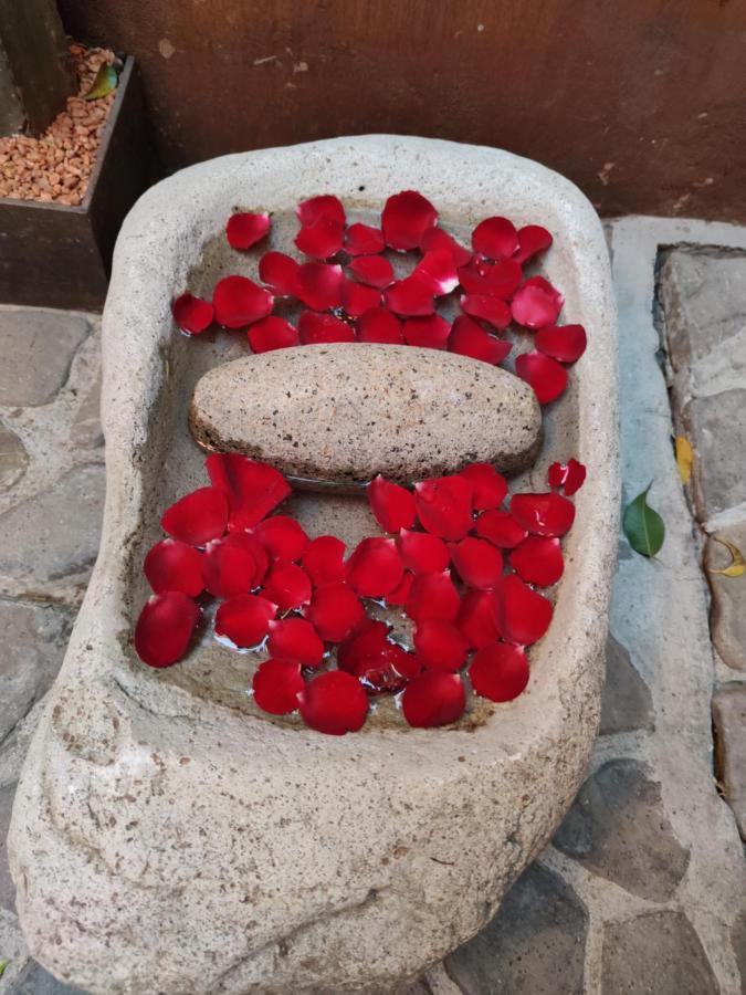 Отель Casa Carmen Reforma Oaxaca Экстерьер фото