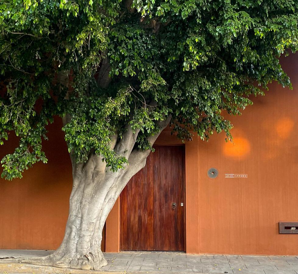 Отель Casa Carmen Reforma Oaxaca Экстерьер фото