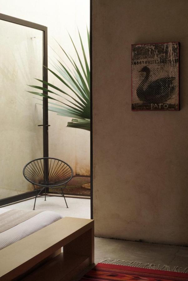 Отель Casa Carmen Reforma Oaxaca Экстерьер фото