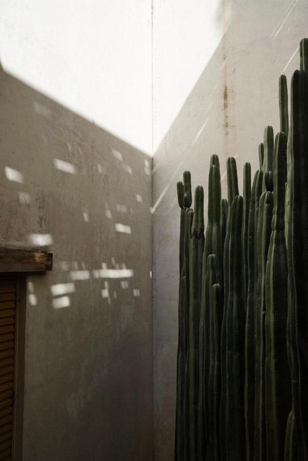 Отель Casa Carmen Reforma Oaxaca Экстерьер фото