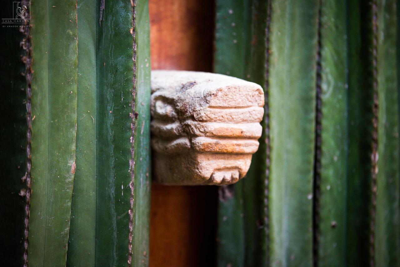 Отель Casa Carmen Reforma Oaxaca Экстерьер фото