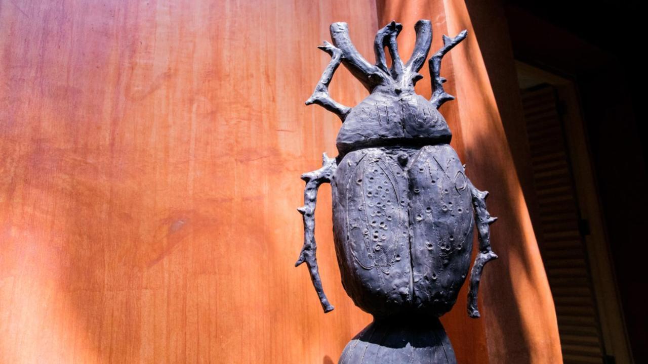 Отель Casa Carmen Reforma Oaxaca Экстерьер фото