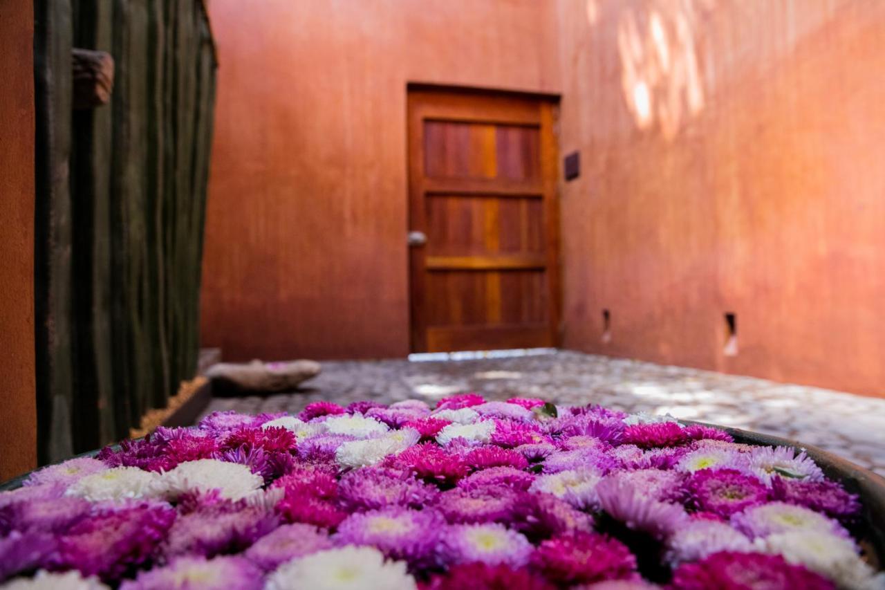 Отель Casa Carmen Reforma Oaxaca Экстерьер фото