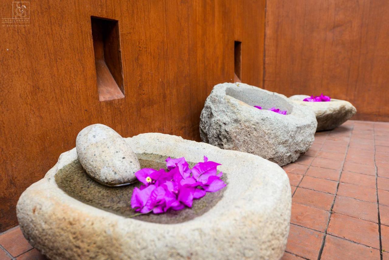 Отель Casa Carmen Reforma Oaxaca Экстерьер фото